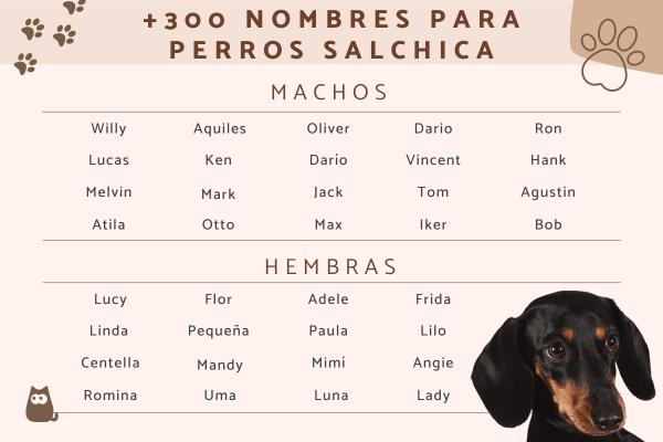 Los mejores nombres para perros hembras 3