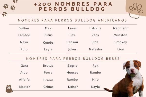 Fotos de nombres para perros 7