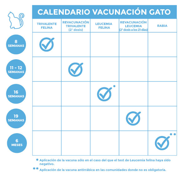 Nombre de vacunas para gatos 1