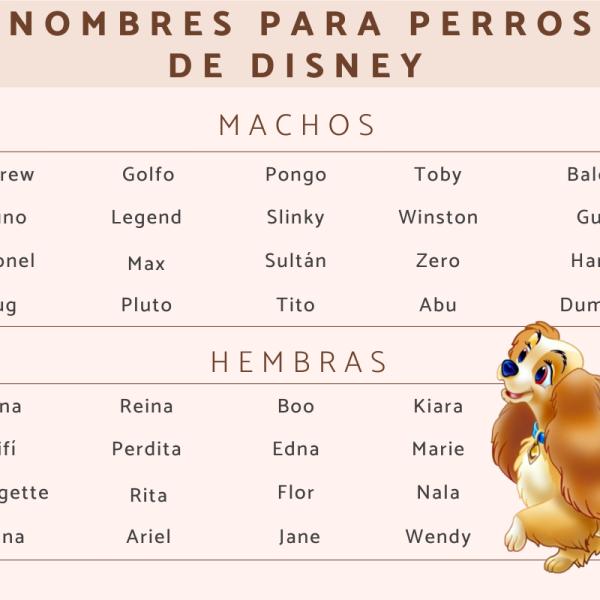 Nombre de vacunas para perros 3