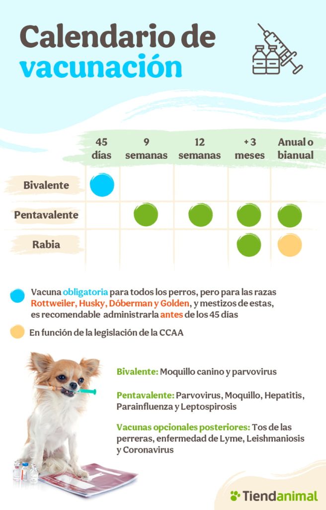Nombre de vacunas para perros 1