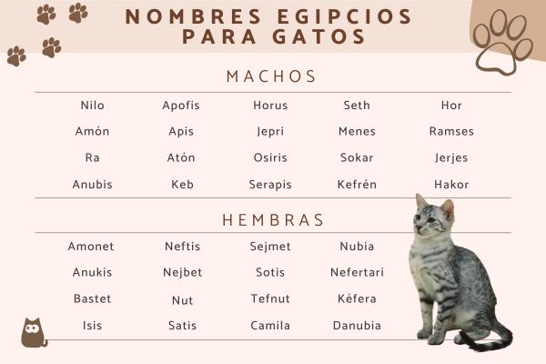 Nombres antiguos para gatos 1