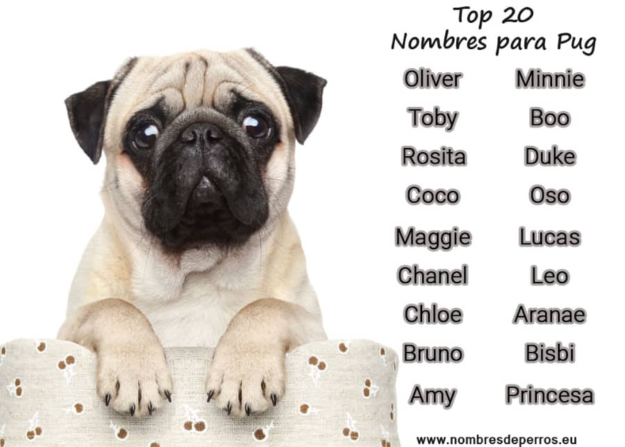 Lista de nombres para perros machos 3
