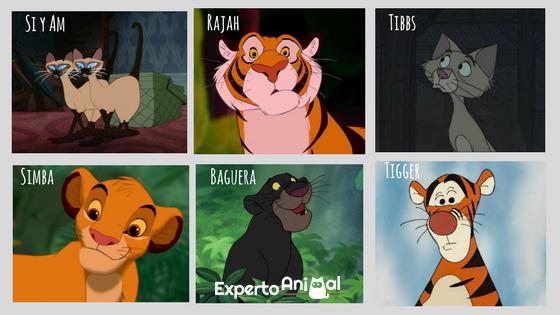 Nombres de cantantes para gatos 3