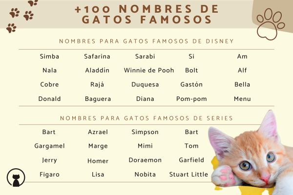Nombres de cantantes para gatos 1