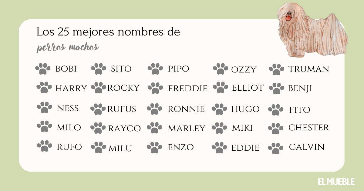 Nombres de ciudad para perros 1