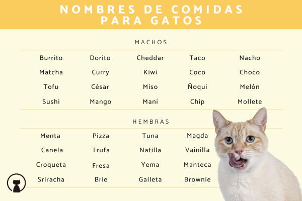 Nombres de comida para gatos 1