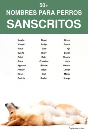Nombres hindues para perros 2