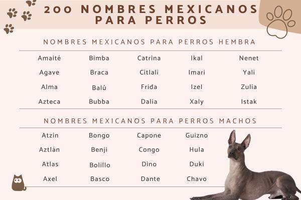 Nombres de narcos para perros 2