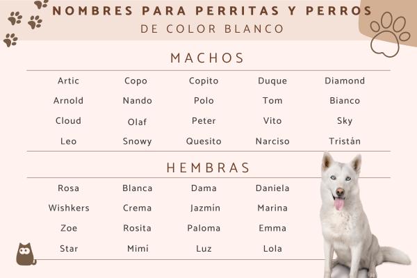 Nombres de piratas para perros 2