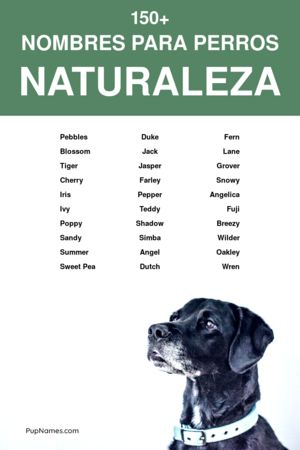 Nombres de rios para perros 1