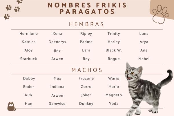 Nombres de star wars para gatos 2