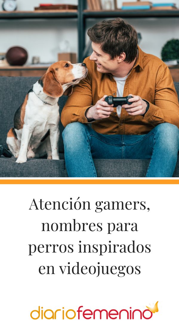 Nombres de videojuegos para perros 2