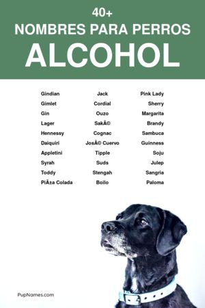 Nombres de vinos para perros 1