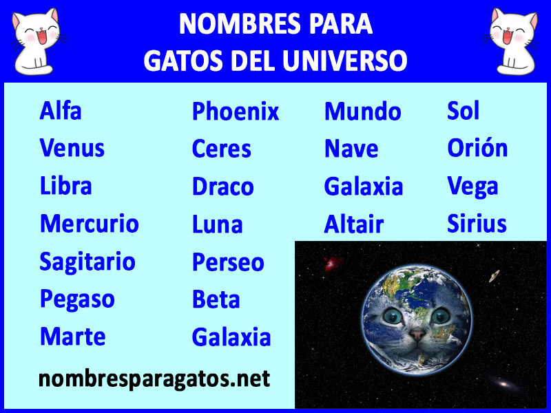 Nombres del espacio para gatos 1