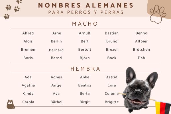 Nombres en otros idiomas para perros 2