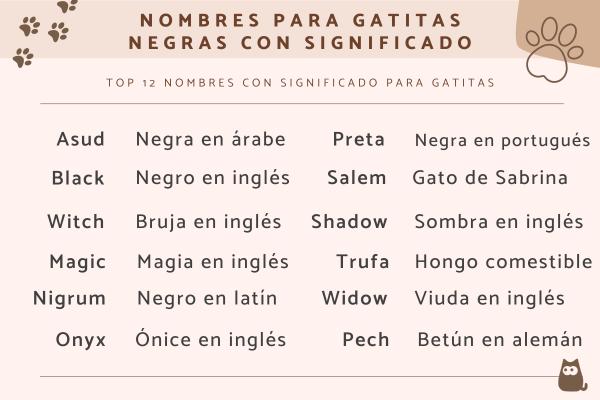 Nombres gallegos para gatos 1