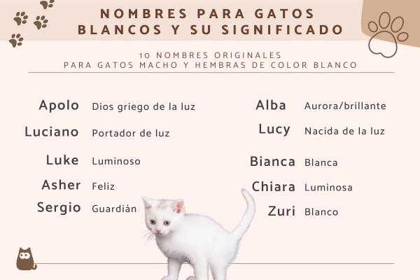 Nombres gallegos para gatos 3