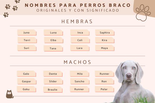 Nombres de estrellas para perros 6