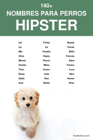Nombres hindues para perros 3