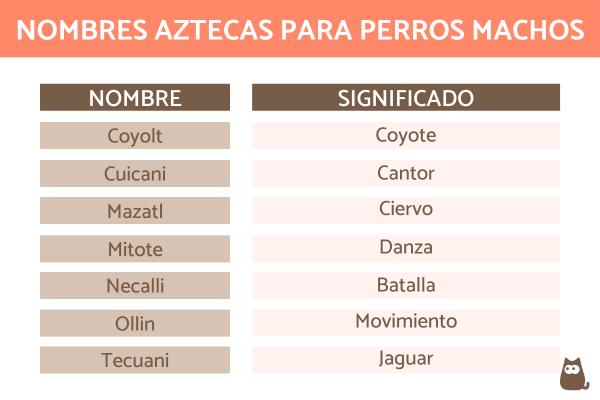 Nombres indios para perros machos y significado 2