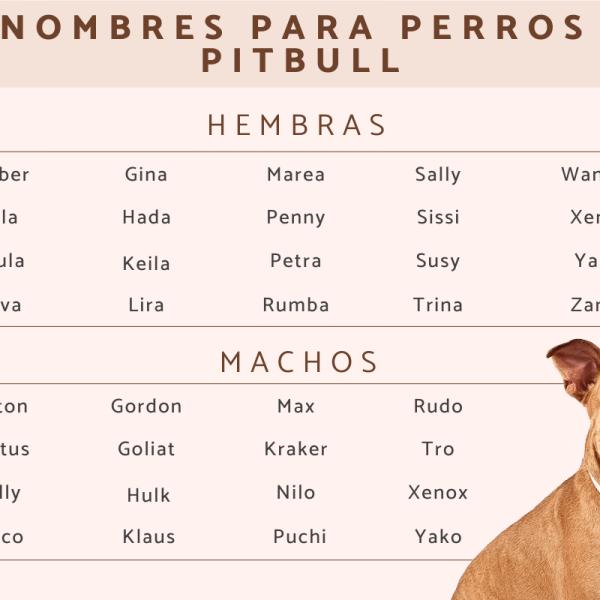 Nombres intimidantes para perros 2
