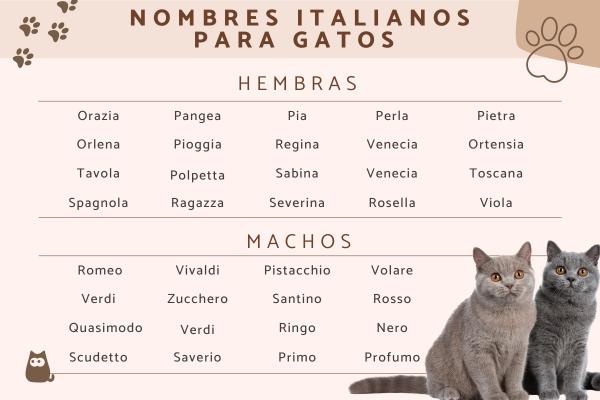 Nombres hebreos para gatos 5