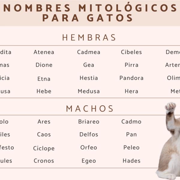Nombres originales para perros con significado 5