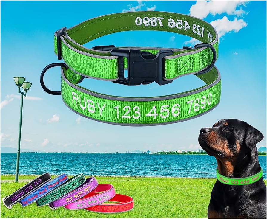 Nombres originales para perro hembra 4