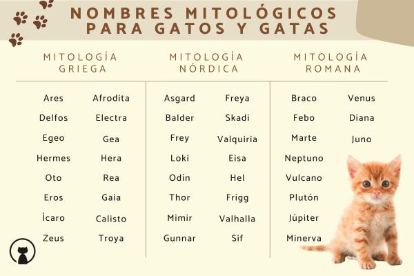 Nombres misteriosos para gatos 2