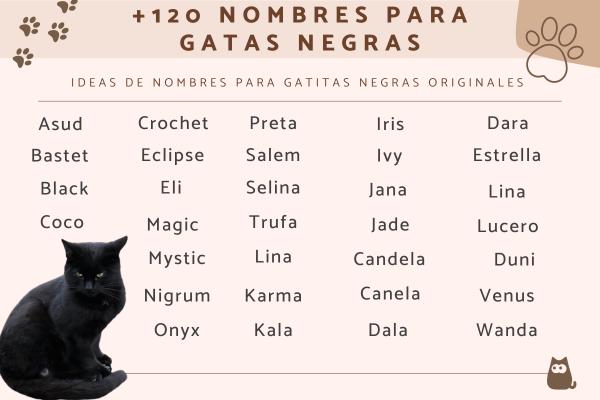 Nombres oscuros para gatos 1