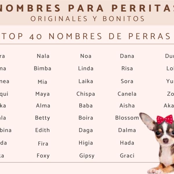 Nombres originales para una perra 2