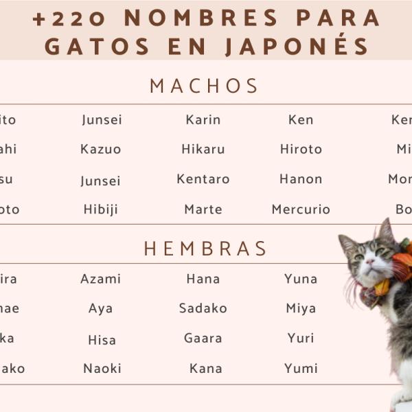 Nombres oscuros para gatos 3