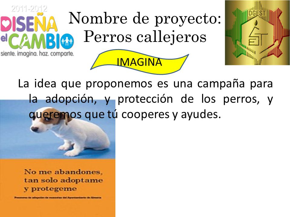 Nombres para campanas de perros 1