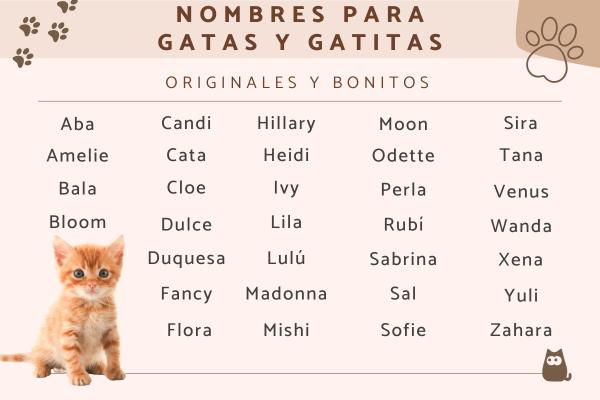 Nombres para gatas elegantes 1