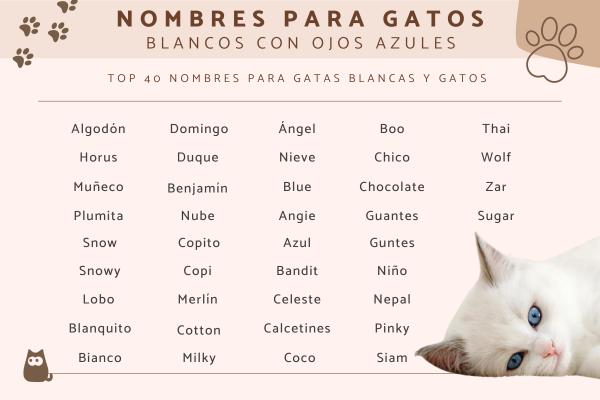 Nombres para parejas de gatos macho y hembra 1