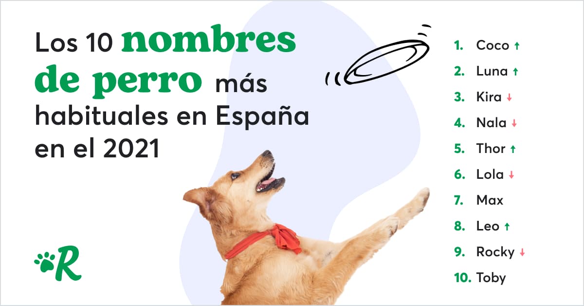 Nombres gallegos para perros 3