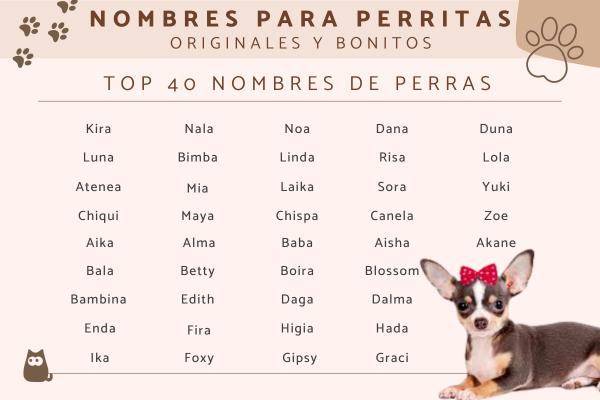 Nombres para perra hembra originales 1