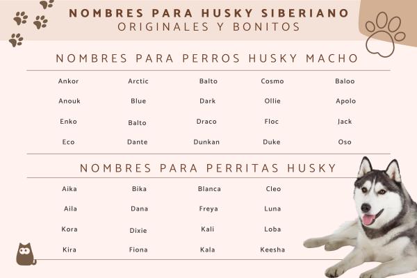 Nombres para perras en ruso 2