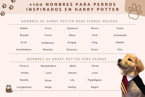 Nombres para perras famosos 6