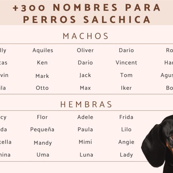 Nombres para perras negros 2