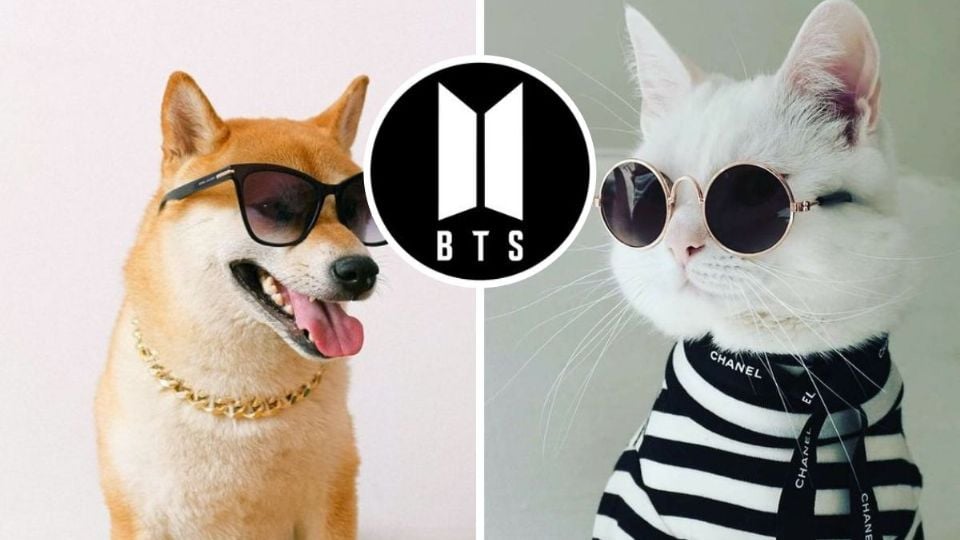 Nombres para perros bts 2