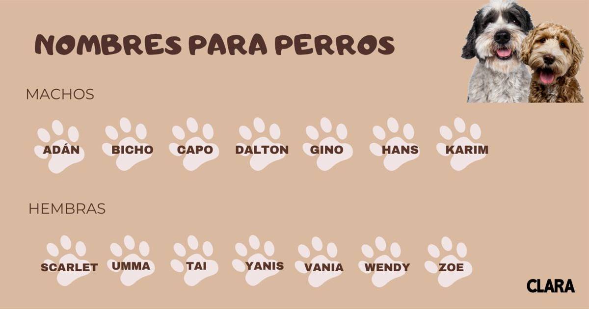 Nombres para perros de dioses egipcios 5