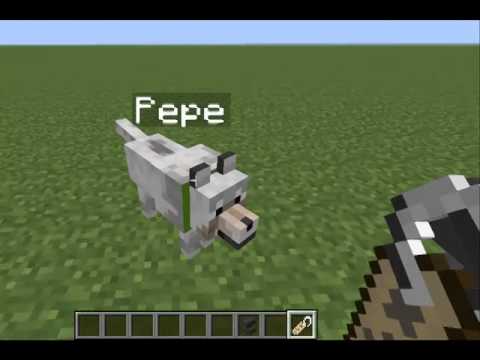 Nombres para perros de minecraft 1