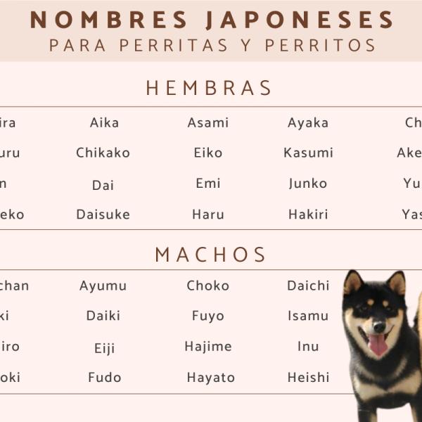 Nombres para perros machos en japones anime 1