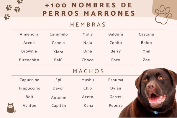 Nombres para perros machos en japones anime 3