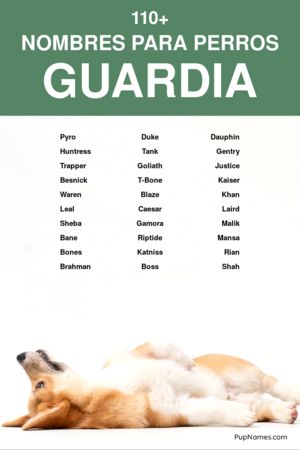 Nombres para perros policias 5