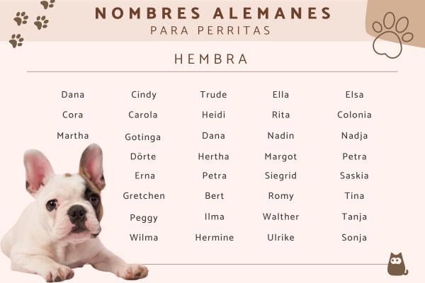 Nombres quechuas para perros 3