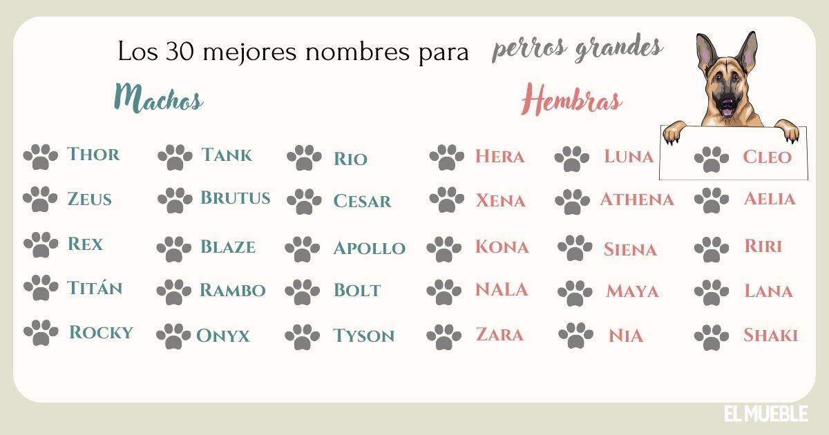 Nombres raros y bonitos para perros 3