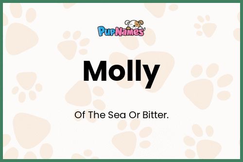 Significado de nombre molly para perros 2